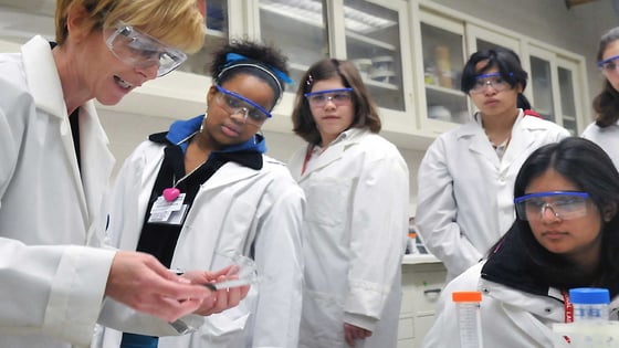 Women researching at a STEM event at Argonne National Laboratory (CC BY-SA 2.0)